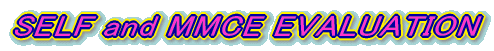 SELF and MMCE EVALUATION